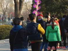 逛庙会