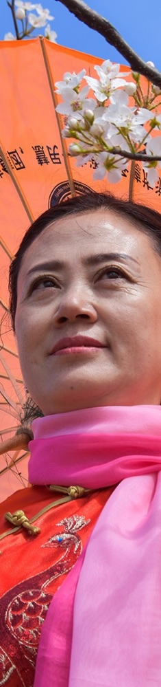 憧憬