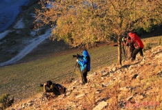 迎着黎明的曙光