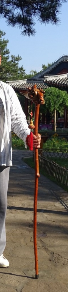 柱龙头仗的老人