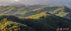 山岚叠翠