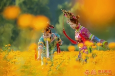 金花园里“小燕子”（抓拍）