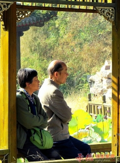 幸福晚年
