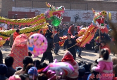 金龙狂欢贺新春