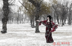 风花雪月俏佳人