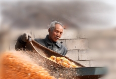 又是一年的结束