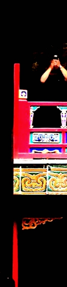 抓拍