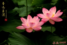 香远益清
