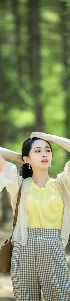 夏天的美林