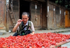 总版主评析—2016—17   来到了树下  怎样摘下好果子