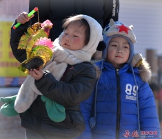 金鸡献吉灯我喜欢