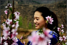 桃花盛开的季节