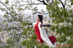 仙女醉花