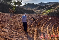 [2016年人像摄影大赛]+背影