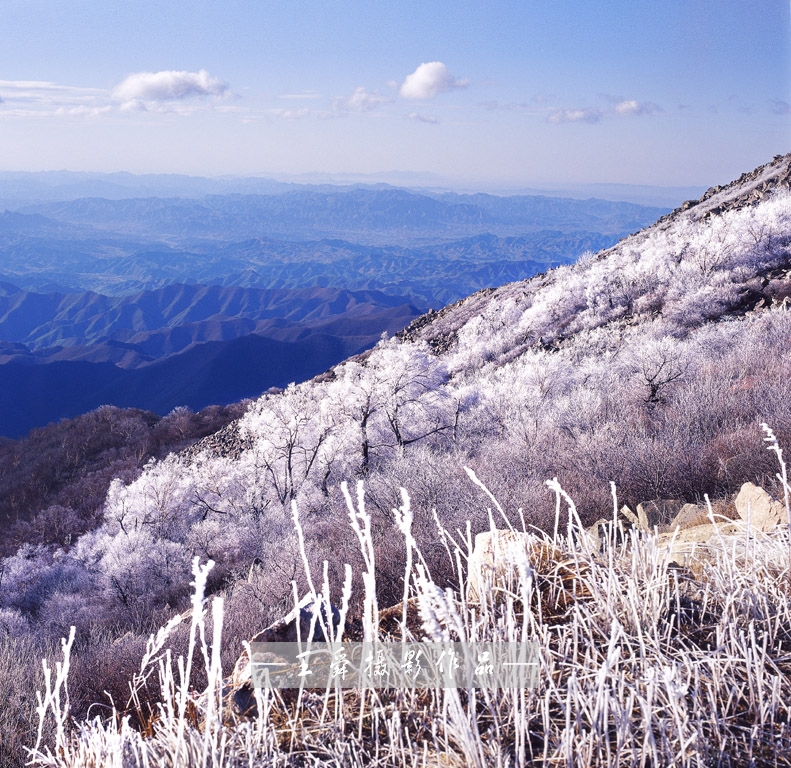 都山-009