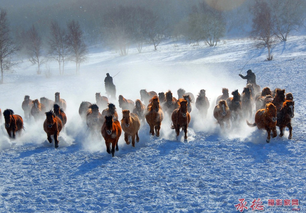 《飞马踏雪》 摄影：牛同保