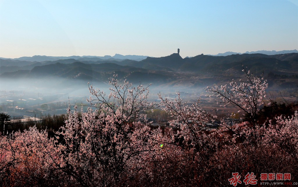 《磬锤峰春色》摄影：胡春芳