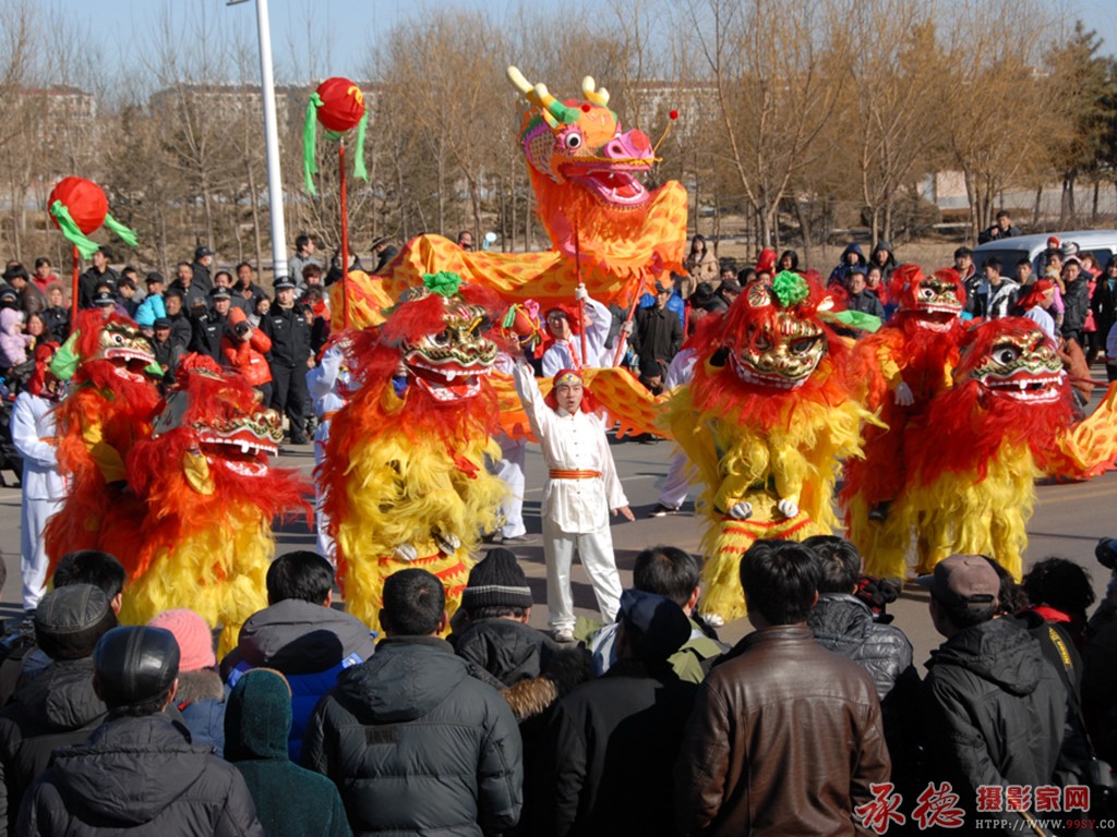 入选作品：龙狮献瑞  摄影：吕永芹