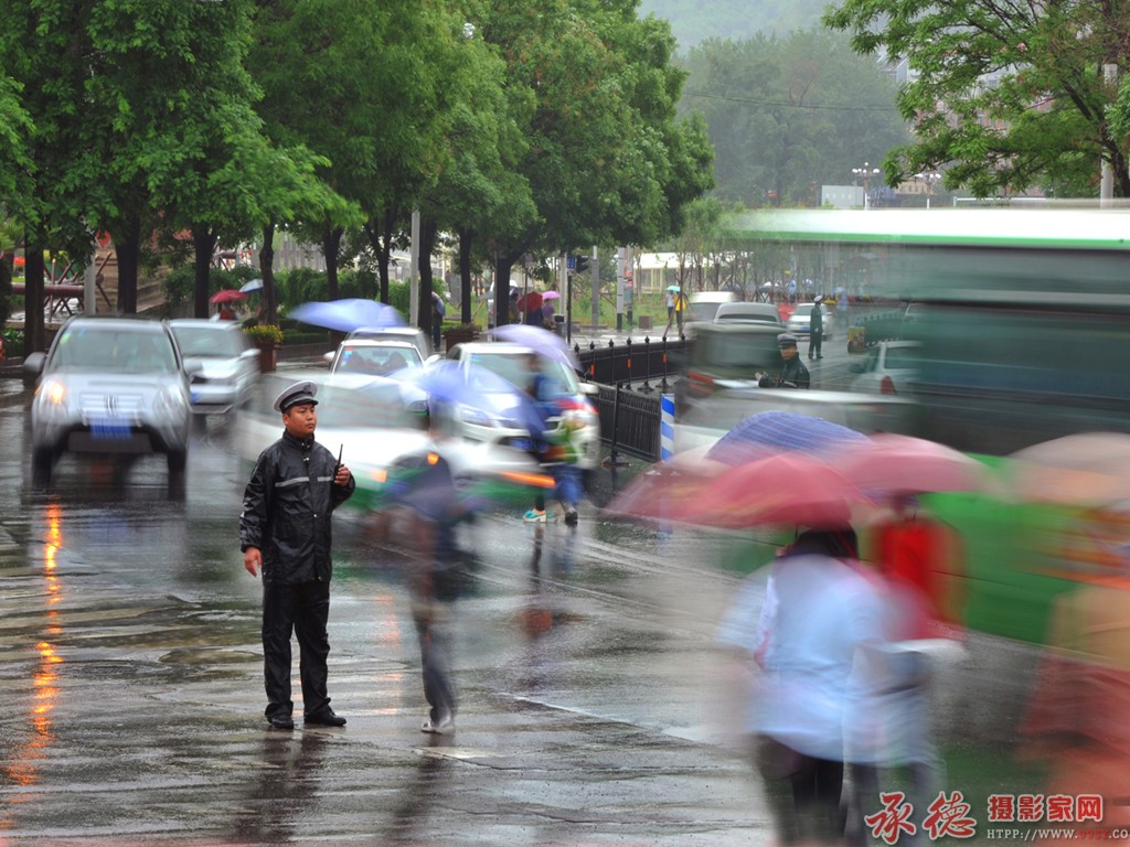 三等奖《在雨中》 摄影：韩静阳