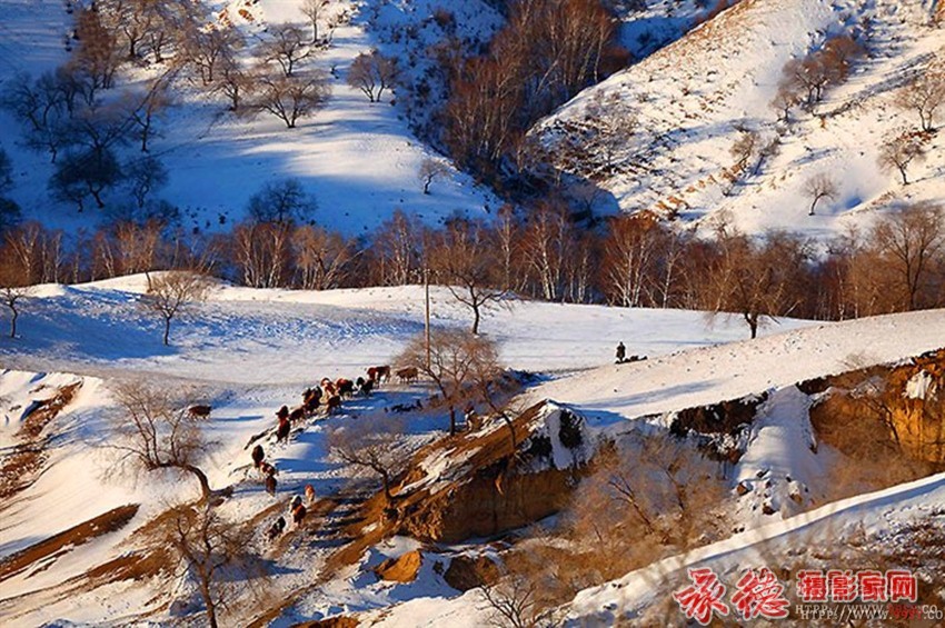 雪域牧歌--侠客行--自然风光