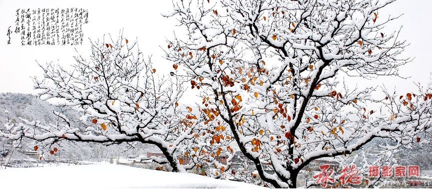 沁园春·雪