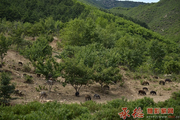 天地间  摄影：六月荷
