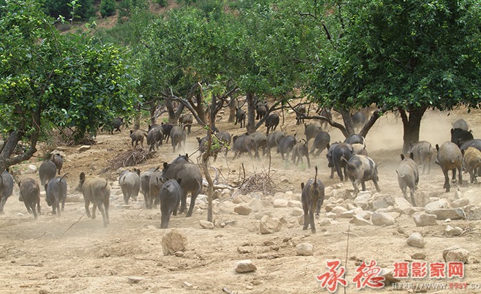 同志们冲啊  摄影：棋友