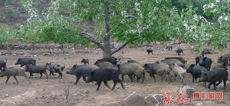 走进春天  摄影：月亮