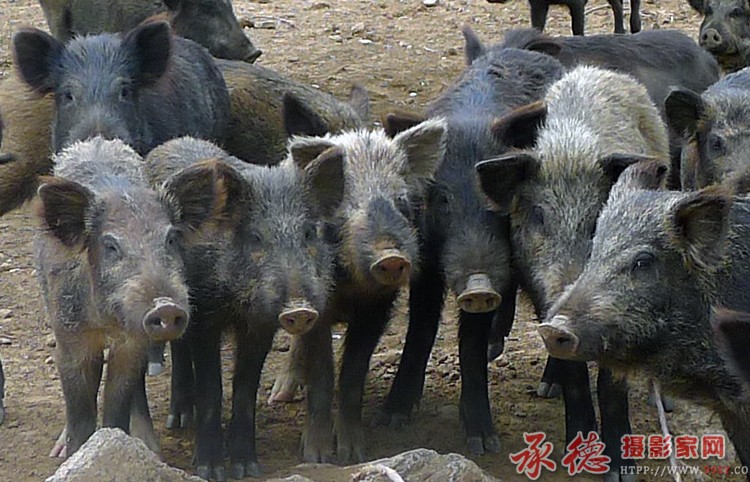 列队迎接  摄影：