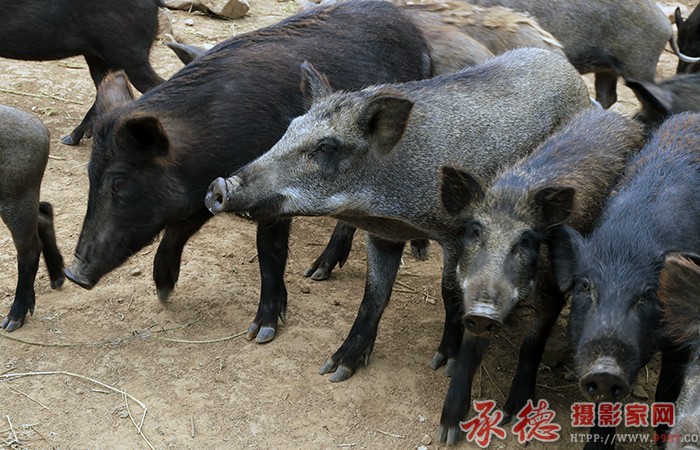 准备出发  摄影：棋友