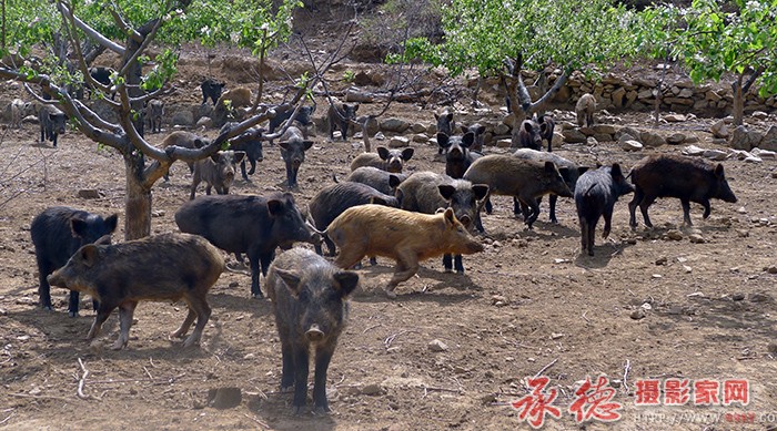 音乐响起时  摄影：月亮