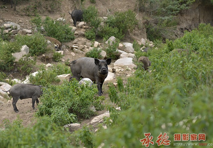 望哨  摄影：六月荷 