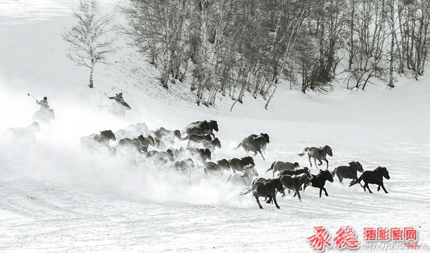 自然风光精华展2015