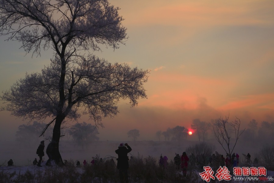 《雾凇岛晨韵 》wangxiaozhong