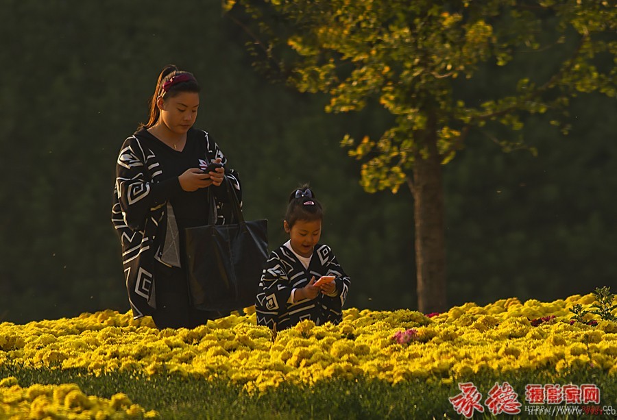 菊园俏母女--