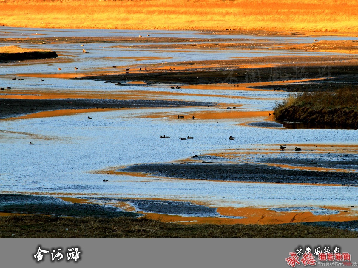 坝上摄影精华展2015