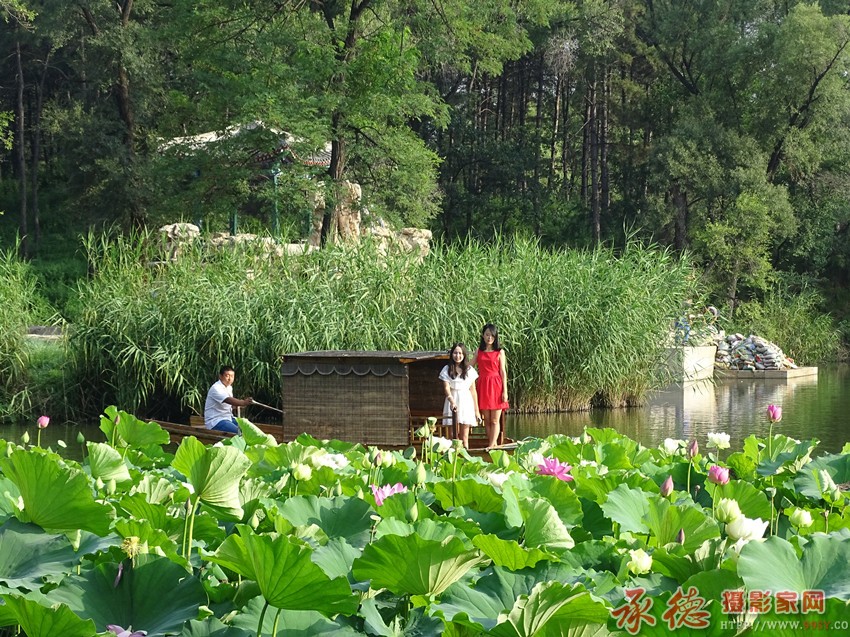 DSC05721江《南风情在山庄》三