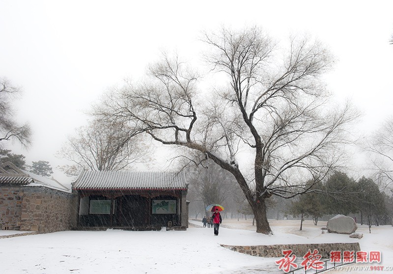 初雪