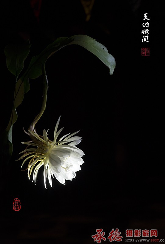 美的瞬间