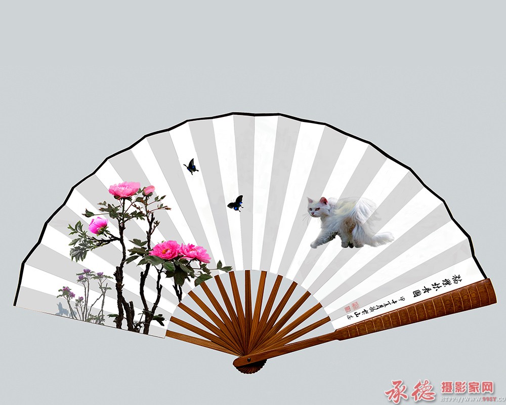 组照  牡丹扇面 (3)