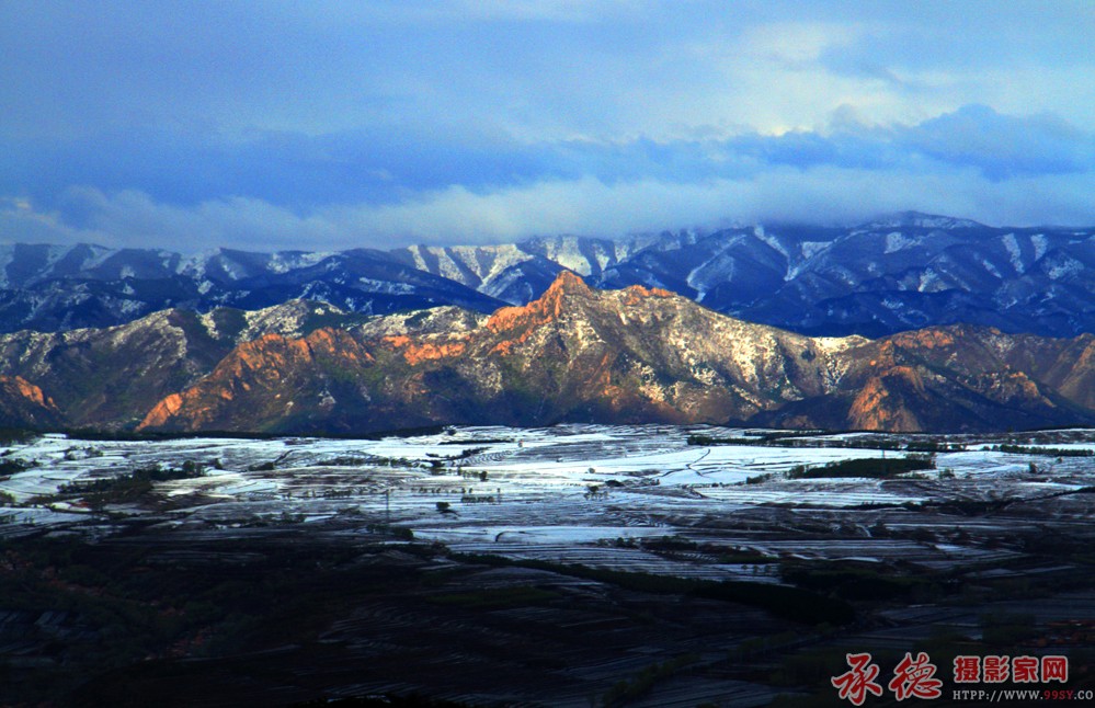 雪后木兰