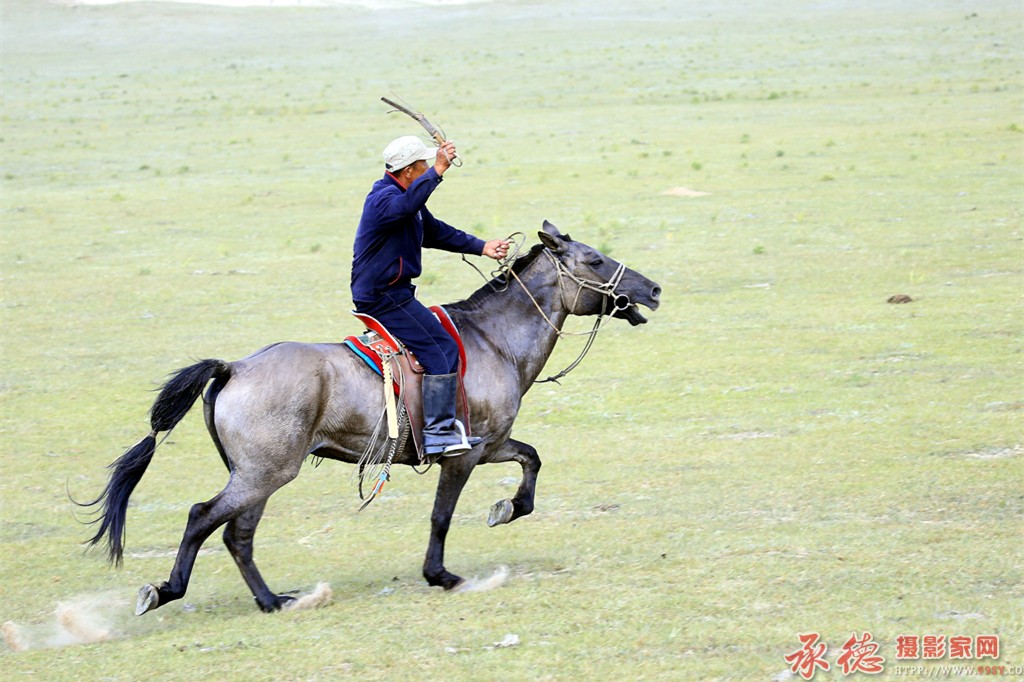 21草原骏马