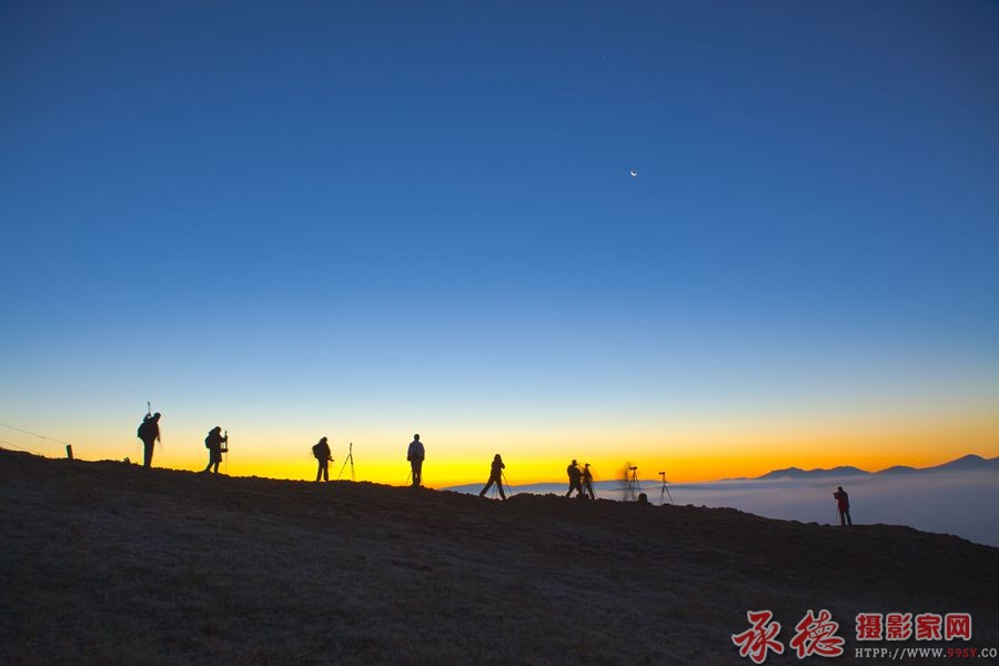 唤醒黎明 