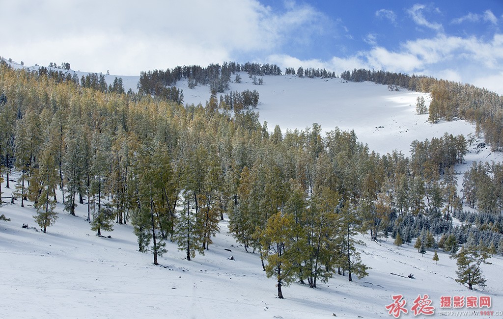 43途中雪景