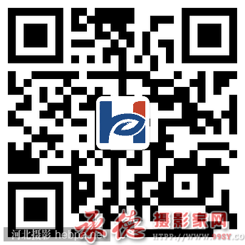 河北摄协微博二维码_12.png 河北摄协微博二维码_12.png