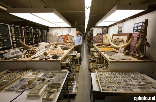 美国国家自然历史博物馆的藏品室