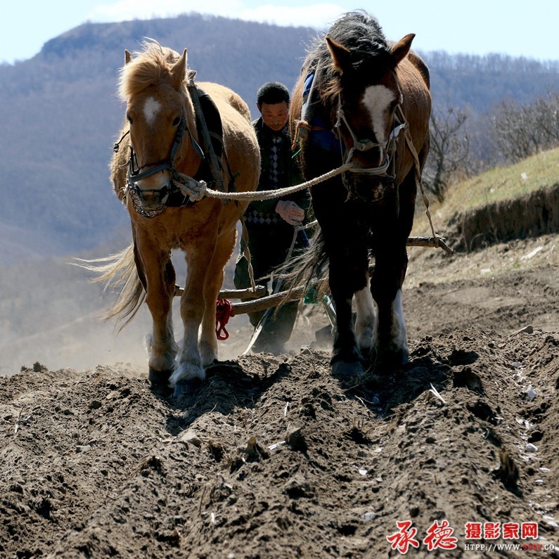 优秀奖：耕耘 木兰风