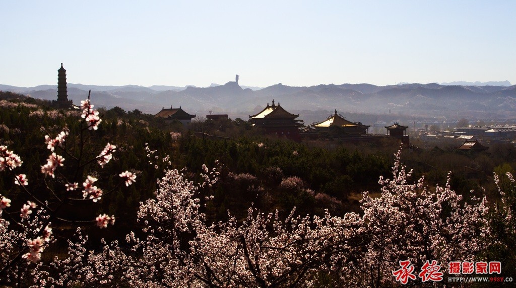 优秀奖：古寺迎春 影子之美