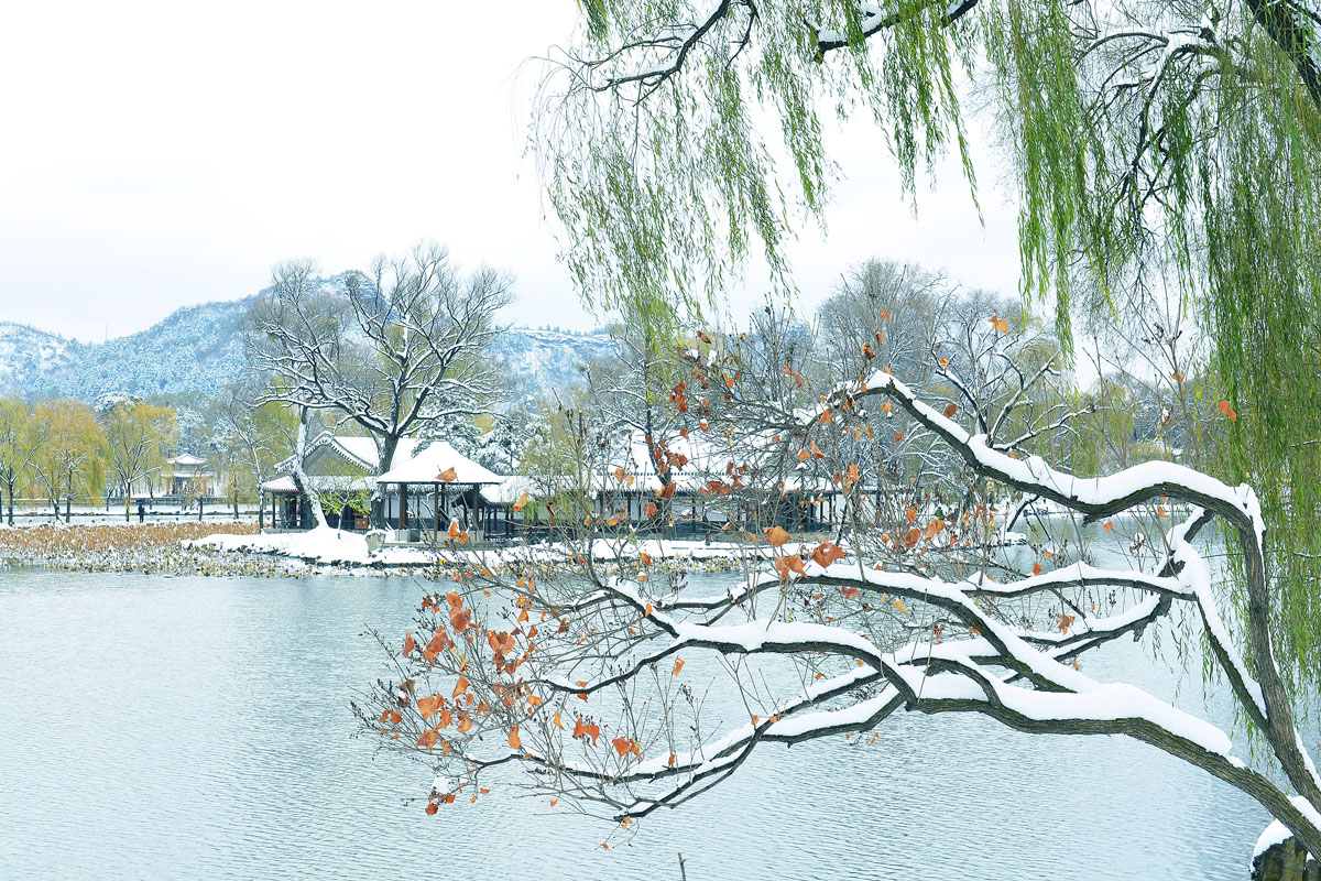 优秀奖-雪色草亭-马维忠-承德