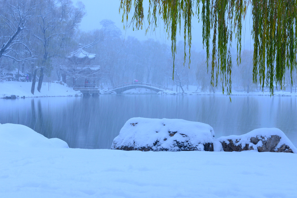 优秀奖-雪中行之一-宫秀学-承德